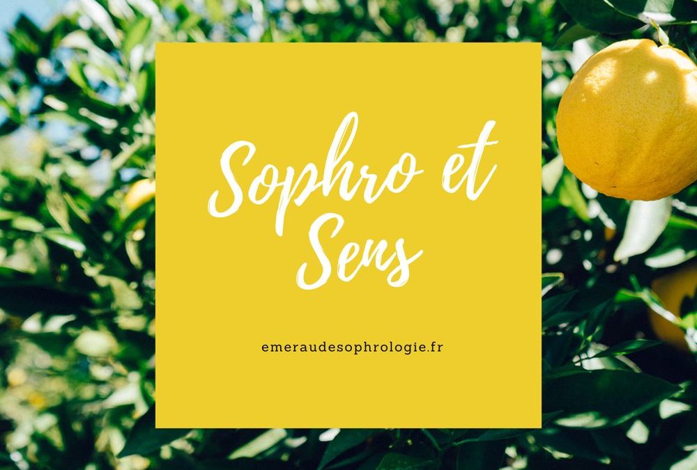 Ateliers « Sophro & Sens »
